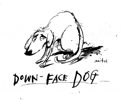 Down Face Dog