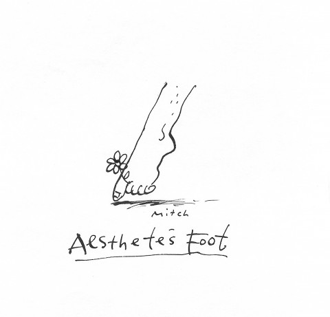 Aesthete's foot